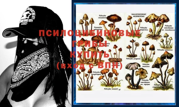 ешки Абаза